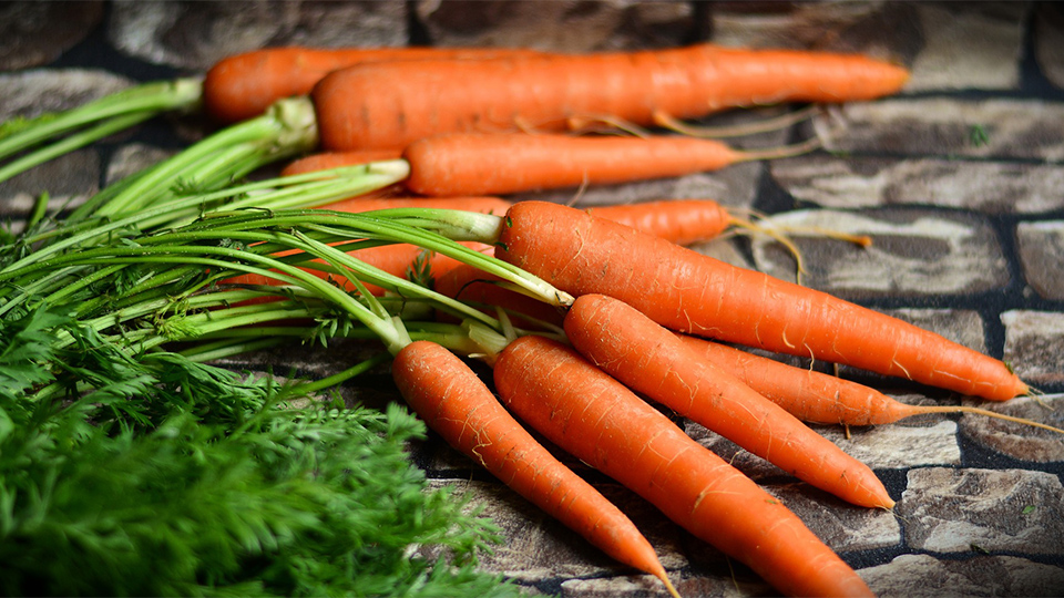 Польза для здоровья моркови для мягкой кожи